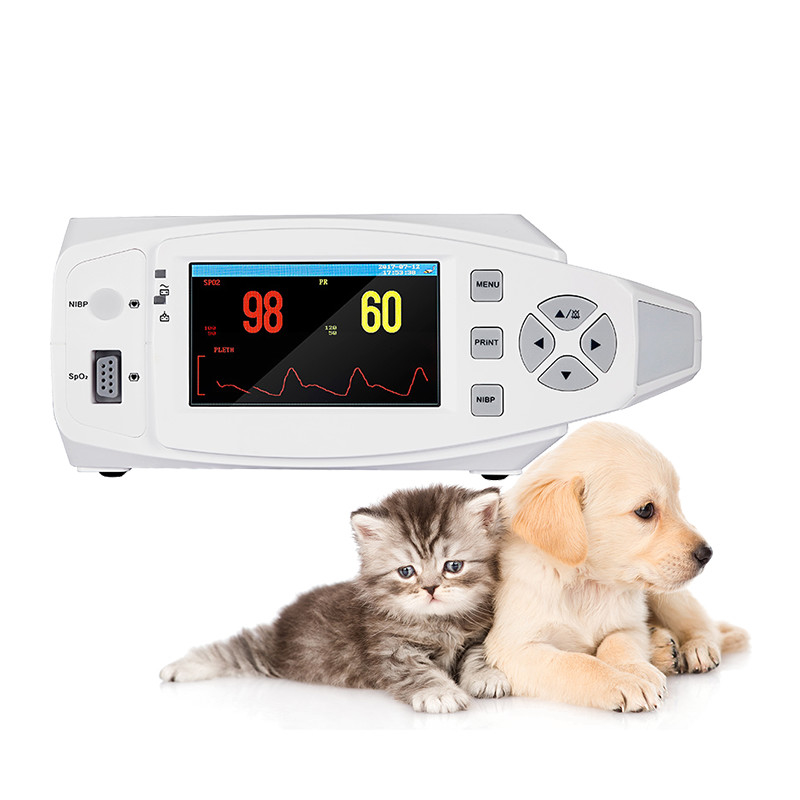 Klinik Elektronik NIBP Veteriner Yaşamsal Belirti Monitörü Taşınabilir Li Pil GB/ T18830